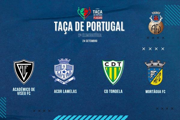 Jogo do Amora FC nas meias finais da Taça de Portugal Feminina com apoio  solidário para animais - Diário do Distrito